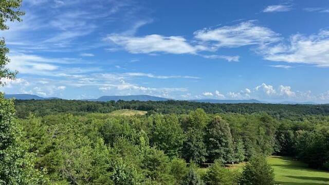 416 County Road 754, Riceville, TN 37370 - photo 86