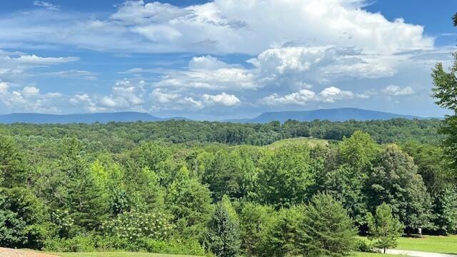416 County Road 754, Riceville, TN 37370 - photo 83