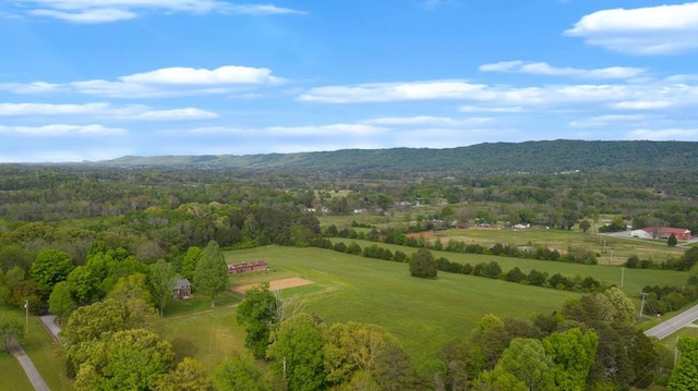 bird's eye view with a mountain view