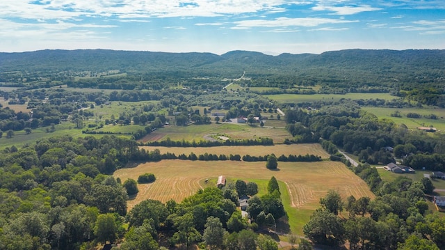 drone / aerial view with a mountain view