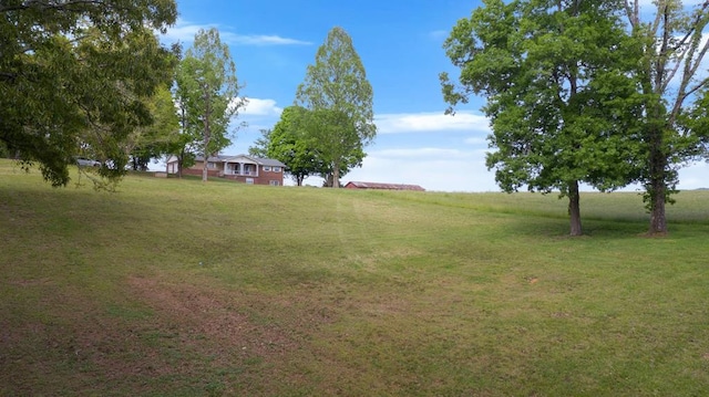 view of yard with a rural view