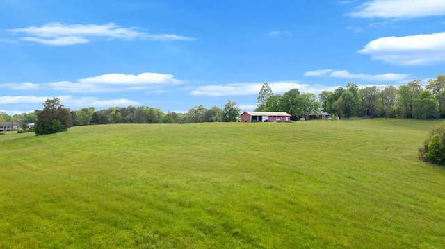 view of yard featuring a rural view