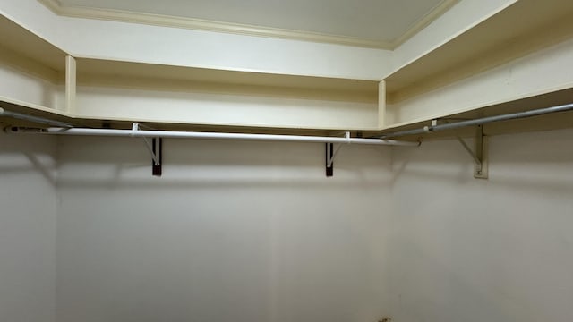 3619 Sourwood Trl, Cleveland, TN 37312 - view of walk in closet