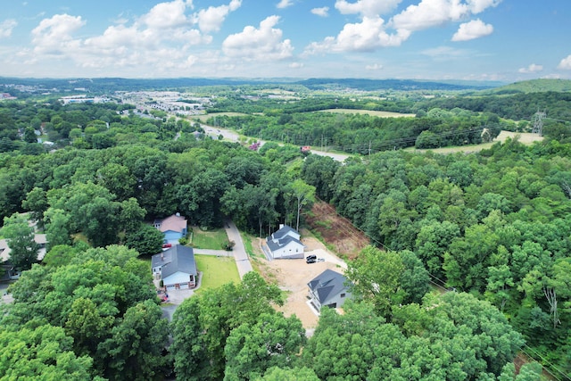 4027 Bow St NE, Cleveland, TN 37312 - photo 47