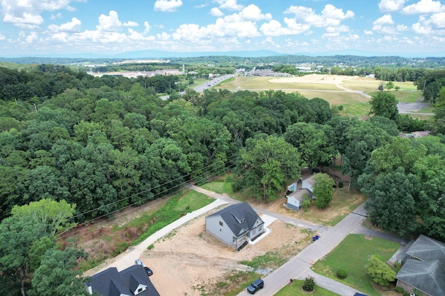 4027 Bow St NE, Cleveland, TN 37312 - photo 46