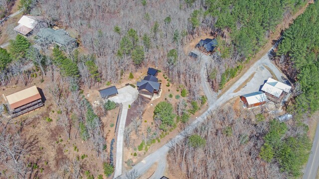 101 Hideaway Trl, Copperhill, TN 37317 - drone / aerial view with a forest view