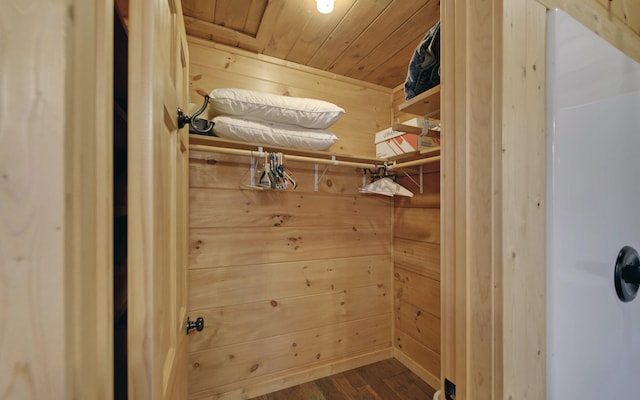 101 Hideaway Trl, Copperhill, TN 37317 - spacious closet with wood finished floors