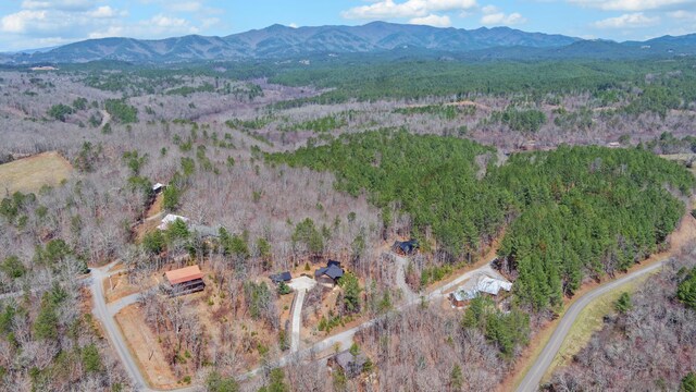 101 Hideaway Trl, Copperhill, TN 37317 - bird's eye view with a view of trees and a mountain view