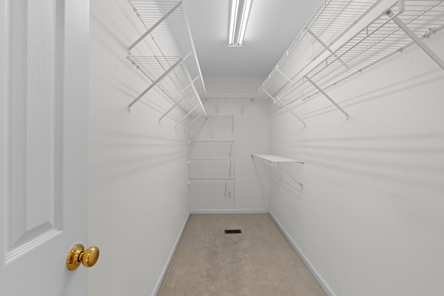 walk in closet with light carpet