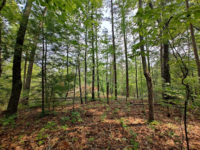 199 Megan Trace Ln, Turtletown, TN 37391 - photo 4