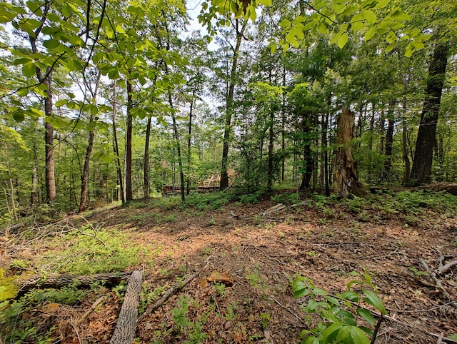 199 Megan Trace Ln, Turtletown, TN 37391 - photo 3