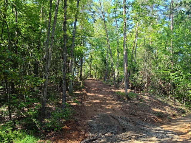 199 Megan Trace Ln, Turtletown, TN 37391 - photo 1