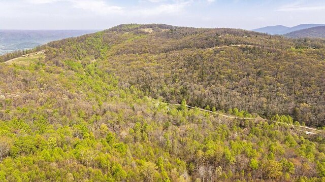 1867 Big Ridge Rd, Spring City, TN 37381