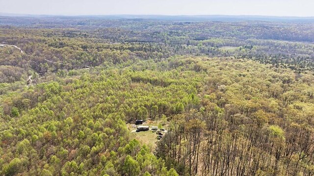 1867 Big Ridge Rd, Spring City, TN 37381