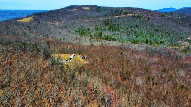 1867 Big Ridge Rd, Spring City, TN 37381