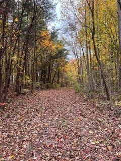 1867 Big Ridge Rd, Spring City, TN 37381