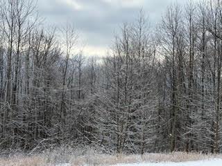 1867 Big Ridge Rd, Spring City, TN 37381