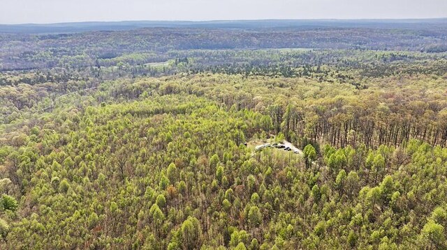 1867 Big Ridge Rd, Spring City, TN 37381