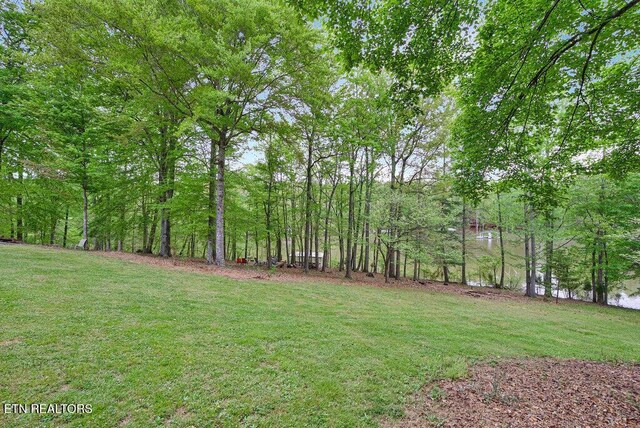 350 Dogwood Cove Rd, Spring City, TN 37381 - photo 44