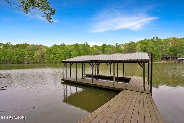 350 Dogwood Cove Rd, Spring City, TN 37381 - photo 40