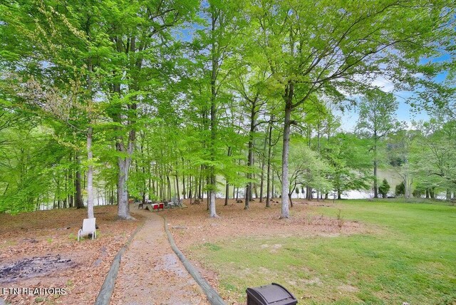 350 Dogwood Cove Rd, Spring City, TN 37381 - photo 39