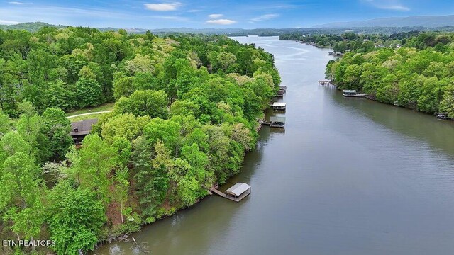 350 Dogwood Cove Rd, Spring City, TN 37381 - photo 49