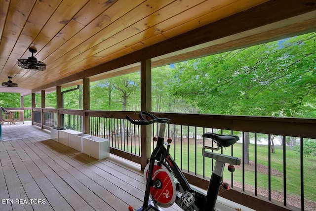 350 Dogwood Cove Rd, Spring City, TN 37381 - photo 33