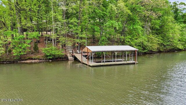350 Dogwood Cove Rd, Spring City, TN 37381 - photo 43