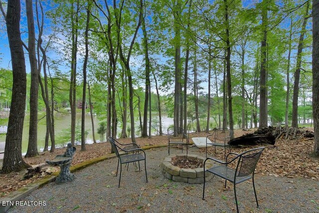 350 Dogwood Cove Rd, Spring City, TN 37381 - photo 37