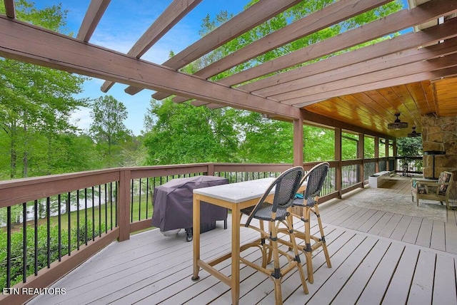 350 Dogwood Cove Rd, Spring City, TN 37381 - photo 31