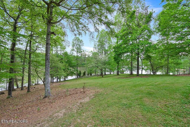 350 Dogwood Cove Rd, Spring City, TN 37381 - photo 45
