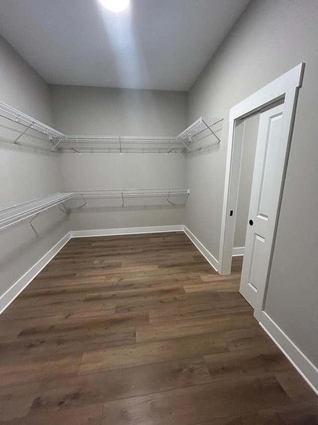 spacious closet with dark hardwood / wood-style floors