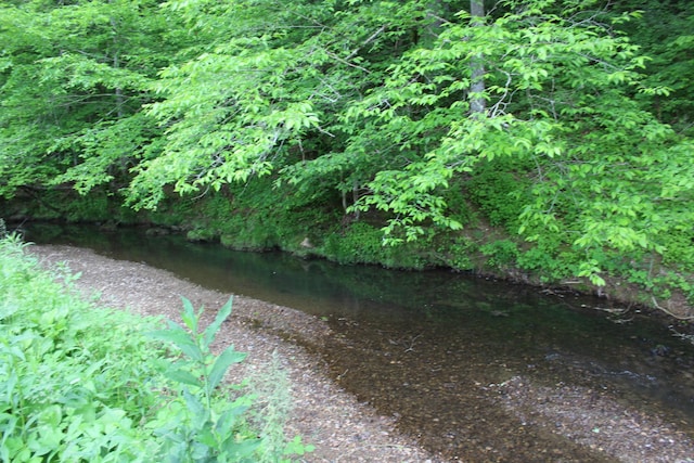 view of landscape featuring a water view