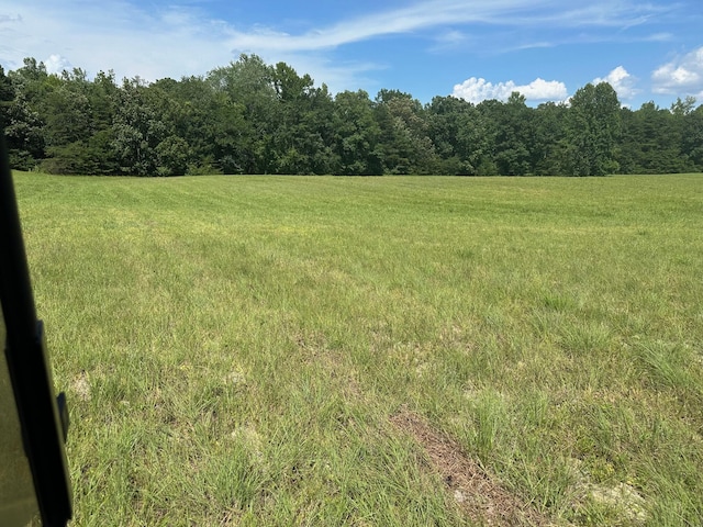 18 Mccabe Rd, Spring City, TN 37381 - photo 8