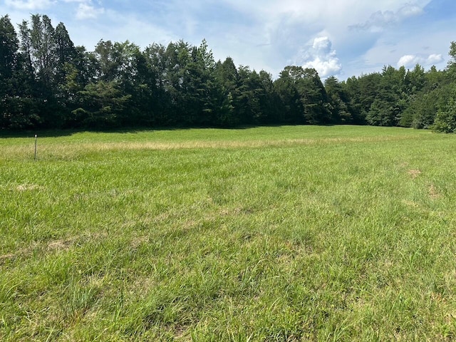 18 Mccabe Rd, Spring City, TN 37381 - photo 14
