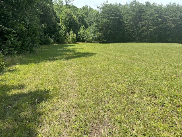 18 Mccabe Rd, Spring City, TN 37381 - photo 15