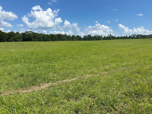 18 Mccabe Rd, Spring City, TN 37381 - photo 1