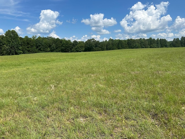 18 Mccabe Rd, Spring City, TN 37381 - photo 10