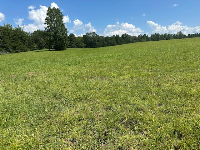 18 Mccabe Rd, Spring City, TN 37381 - photo 6