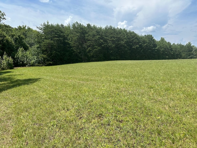 18 Mccabe Rd, Spring City, TN 37381 - photo 12