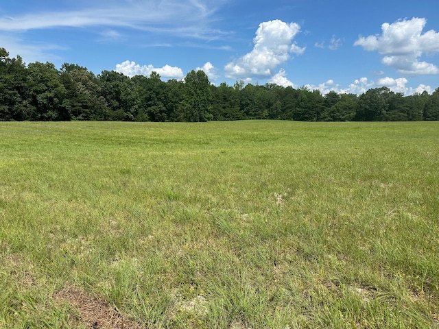 18 Mccabe Rd, Spring City, TN 37381 - photo 9