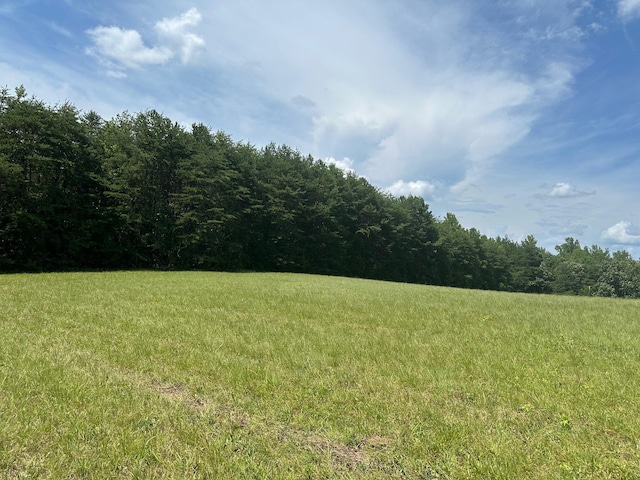 18 Mccabe Rd, Spring City, TN 37381 - photo 11