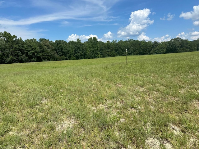 18 Mccabe Rd, Spring City, TN 37381 - photo 13