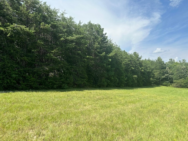 18 Mccabe Rd, Spring City, TN 37381 - photo 7