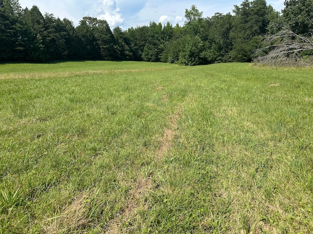 18 Mccabe Rd, Spring City, TN 37381 - photo 3