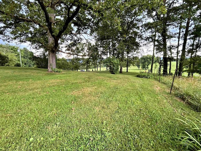138 Keylon Hollow Rd, Ten Mile, TN 37880 - photo 31