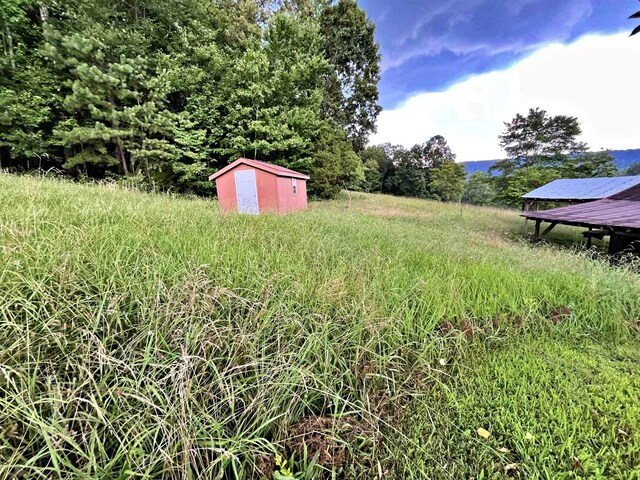 138 Keylon Hollow Rd, Ten Mile, TN 37880 - photo 22