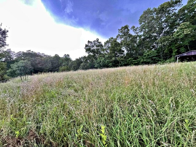 138 Keylon Hollow Rd, Ten Mile, TN 37880 - photo 18