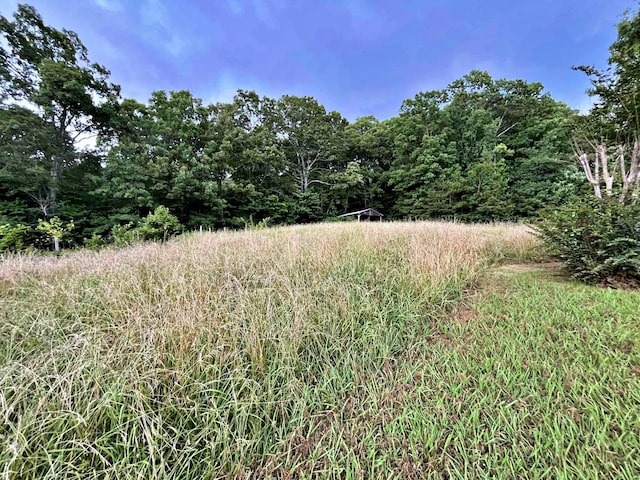 138 Keylon Hollow Rd, Ten Mile, TN 37880 - photo 20