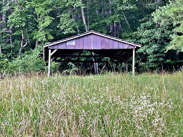 138 Keylon Hollow Rd, Ten Mile, TN 37880 - photo 25